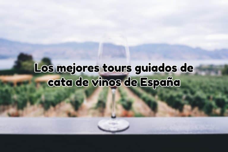 Tours guiados de catas de vino en españa