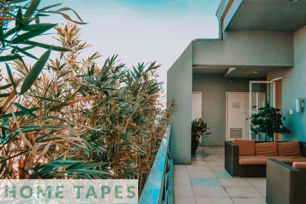 green palm tree near white concrete building during daytime